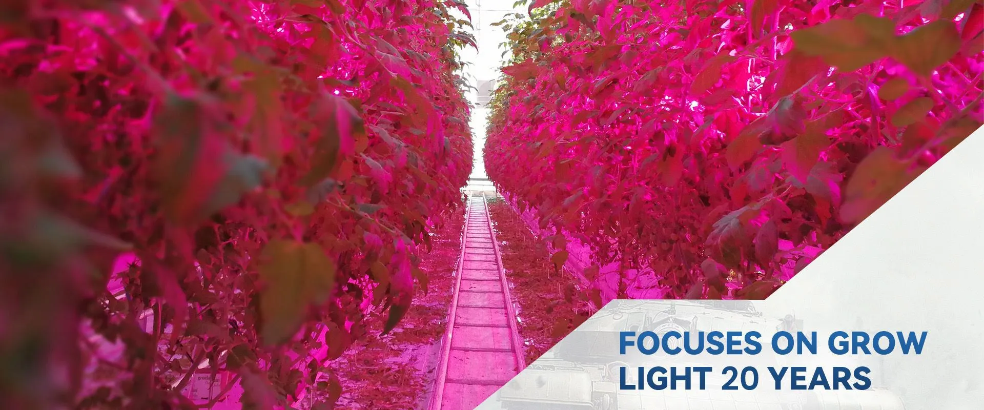 Dshow Machinery Co.,Ltd