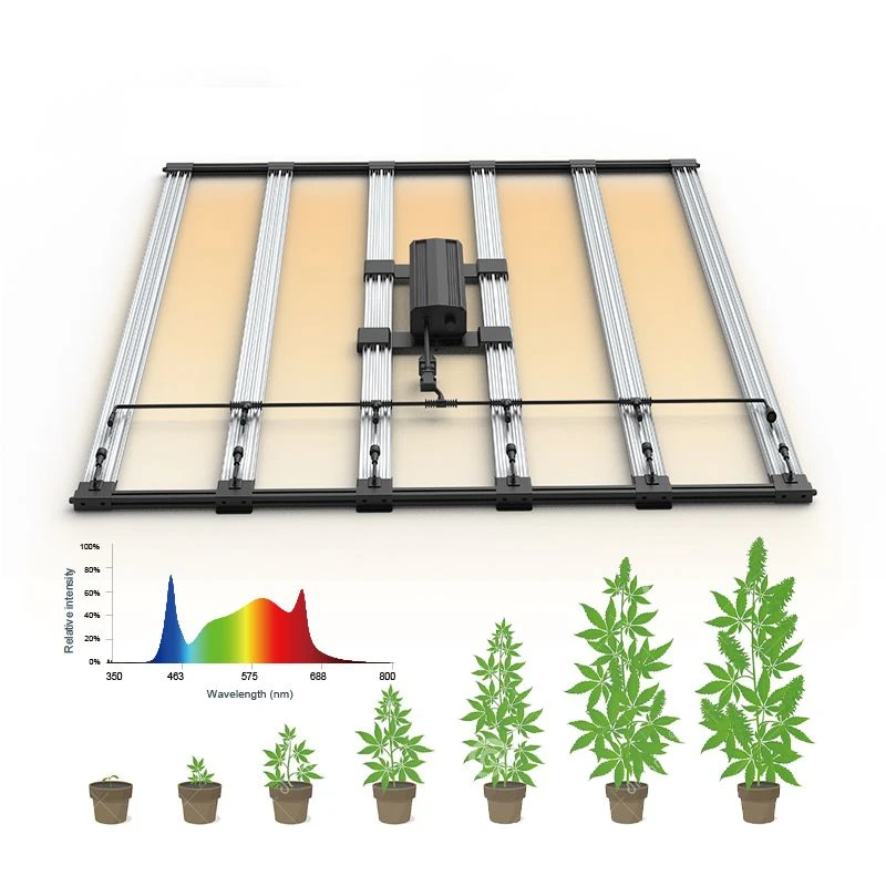 House Grow Light Factory WBest Quality House Grow Light Factory WBest Quality