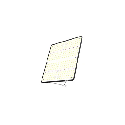 Cort Light Pro 100W